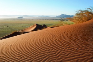 KGALAGADI DESERT